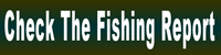 link to fishing report